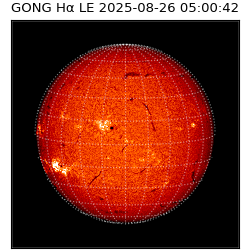 gong - 2025-08-26T05:00:42