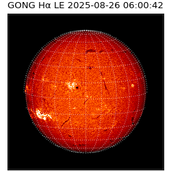 gong - 2025-08-26T06:00:42