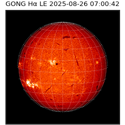 gong - 2025-08-26T07:00:42