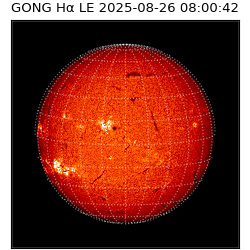 gong - 2025-08-26T08:00:42