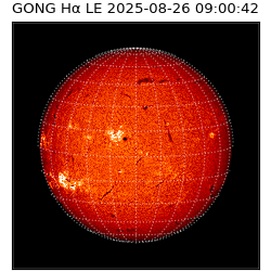 gong - 2025-08-26T09:00:42