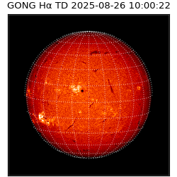 gong - 2025-08-26T10:00:22