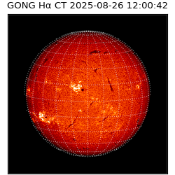 gong - 2025-08-26T12:00:42