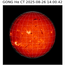gong - 2025-08-26T14:00:42