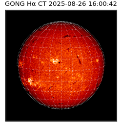 gong - 2025-08-26T16:00:42