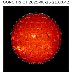 gong - 2025-08-26T21:00:42