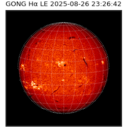 gong - 2025-08-26T23:26:42