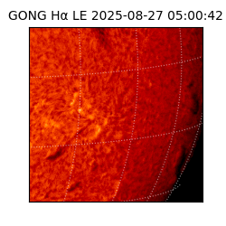 gong - 2025-08-27T05:00:42