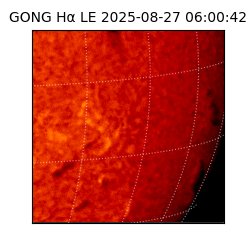 gong - 2025-08-27T06:00:42
