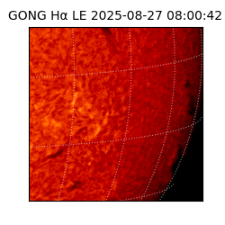 gong - 2025-08-27T08:00:42