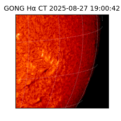 gong - 2025-08-27T19:00:42