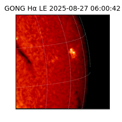 gong - 2025-08-27T06:00:42