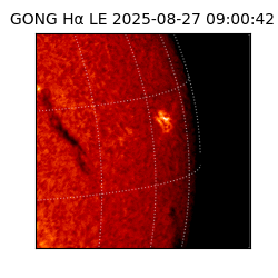gong - 2025-08-27T09:00:42