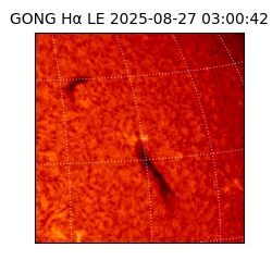 gong - 2025-08-27T03:00:42