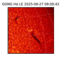 gong - 2025-08-27T08:00:42