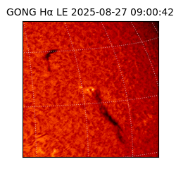 gong - 2025-08-27T09:00:42