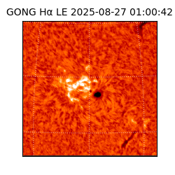 gong - 2025-08-27T01:00:42