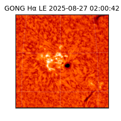 gong - 2025-08-27T02:00:42