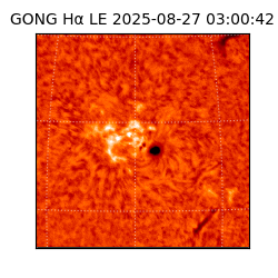 gong - 2025-08-27T03:00:42