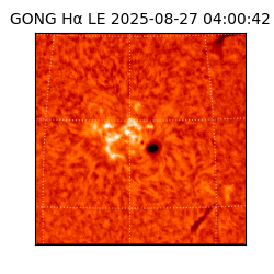 gong - 2025-08-27T04:00:42