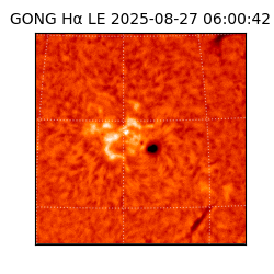 gong - 2025-08-27T06:00:42