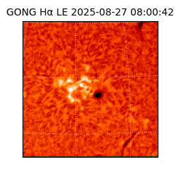 gong - 2025-08-27T08:00:42