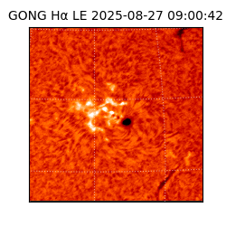 gong - 2025-08-27T09:00:42