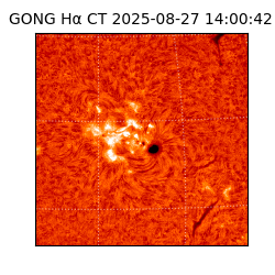 gong - 2025-08-27T14:00:42