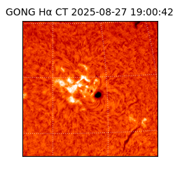 gong - 2025-08-27T19:00:42