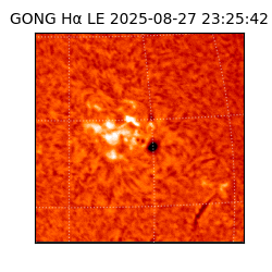 gong - 2025-08-27T23:25:42