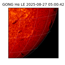 gong - 2025-08-27T05:00:42