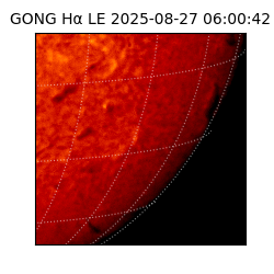 gong - 2025-08-27T06:00:42