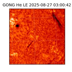 gong - 2025-08-27T03:00:42