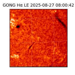 gong - 2025-08-27T08:00:42