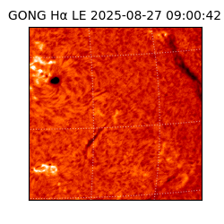 gong - 2025-08-27T09:00:42