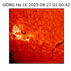 gong - 2025-08-27T02:00:42