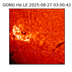 gong - 2025-08-27T03:00:42