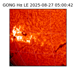 gong - 2025-08-27T05:00:42