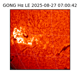 gong - 2025-08-27T07:00:42