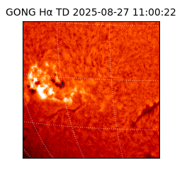 gong - 2025-08-27T11:00:22