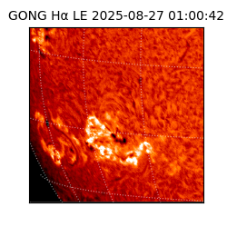 gong - 2025-08-27T01:00:42