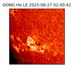 gong - 2025-08-27T02:00:42