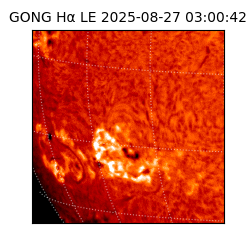 gong - 2025-08-27T03:00:42