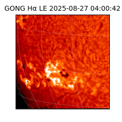 gong - 2025-08-27T04:00:42