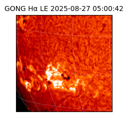gong - 2025-08-27T05:00:42
