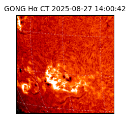 gong - 2025-08-27T14:00:42