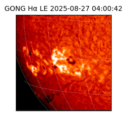 gong - 2025-08-27T04:00:42