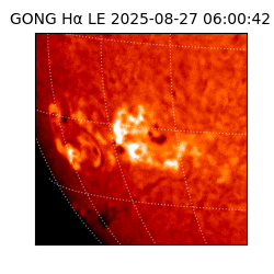 gong - 2025-08-27T06:00:42