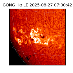 gong - 2025-08-27T07:00:42