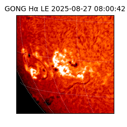 gong - 2025-08-27T08:00:42